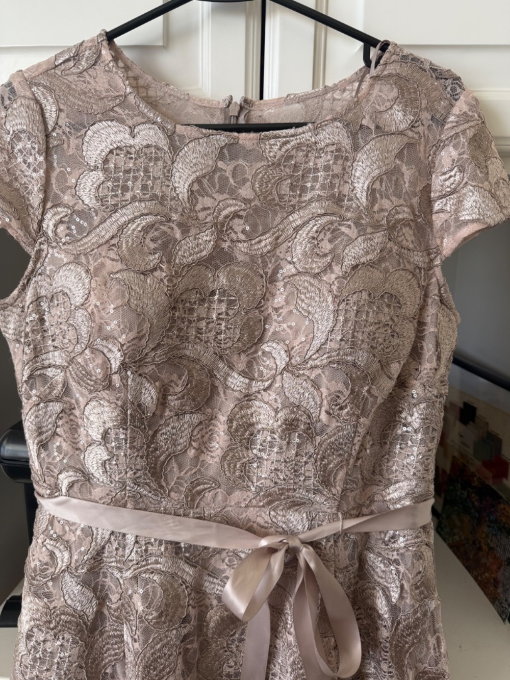 Alex Evenings champagne lace gown - Picture 2 of 4
